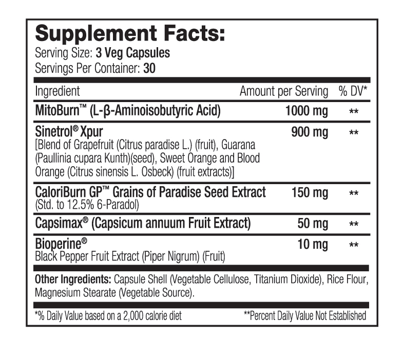 SNS (Serious Nutrition Solutions) Thermo Scorch