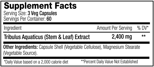 SNS (Serious Nutrition Solutions) Prime XT
