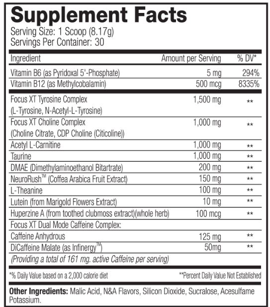 SNS (Serious Nutrition Solutions) Focus XT