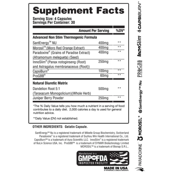 Apollon Nutrition Molotov