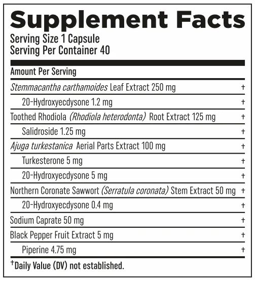 HTLT Supplements Turk Builder Platinum