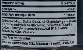 Eternal Formulations MindCraft 4.0