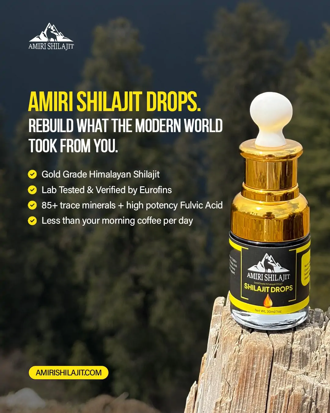 Amiri Shilajit Pure Himalayan Shilajit Drops